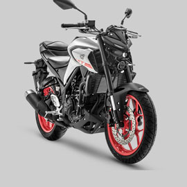 mt 25 1 - لوازم یاماها