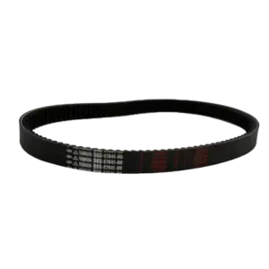 تسمه Nmax اصلی